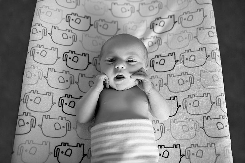 Five Tips for Capturing the Best Moments of Your Little One! 