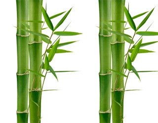 Don’t Get Bamboo-zled